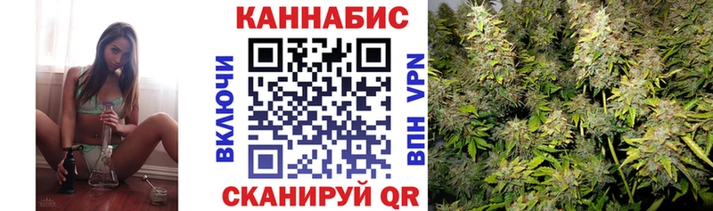 Купить закладки  Отрадное  МАРИХУАНА ГИДРОПОН 